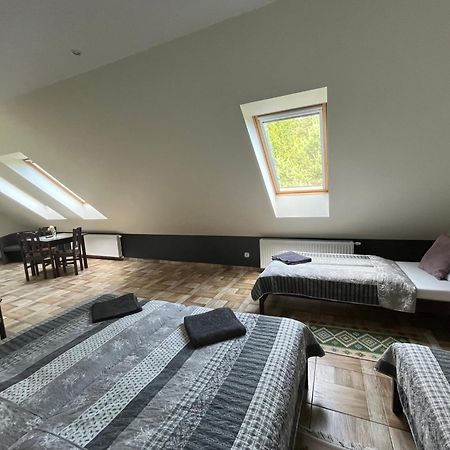 Koci Grzbiet Agroturystyka Dzierzazno Wielkie Extérieur photo