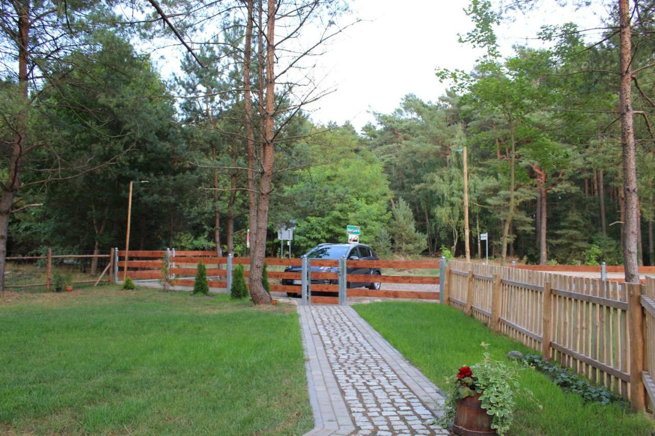 Koci Grzbiet Agroturystyka Dzierzazno Wielkie Extérieur photo