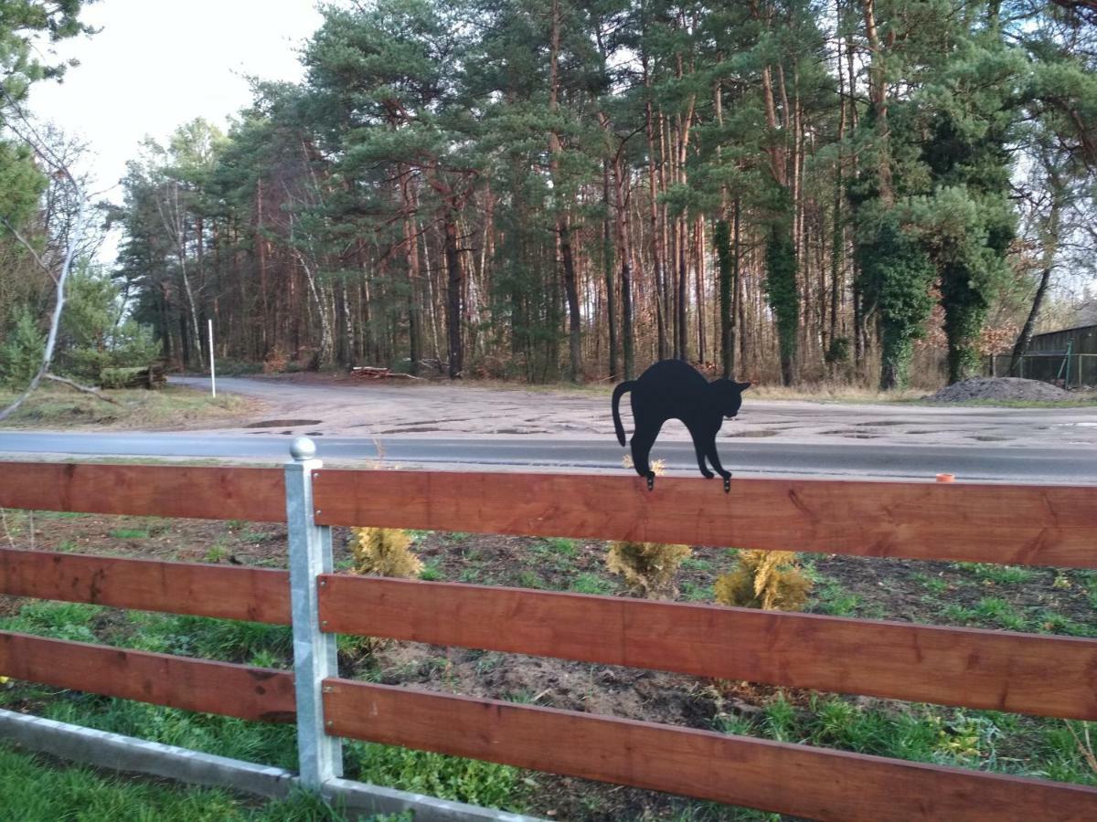 Koci Grzbiet Agroturystyka Dzierzazno Wielkie Extérieur photo