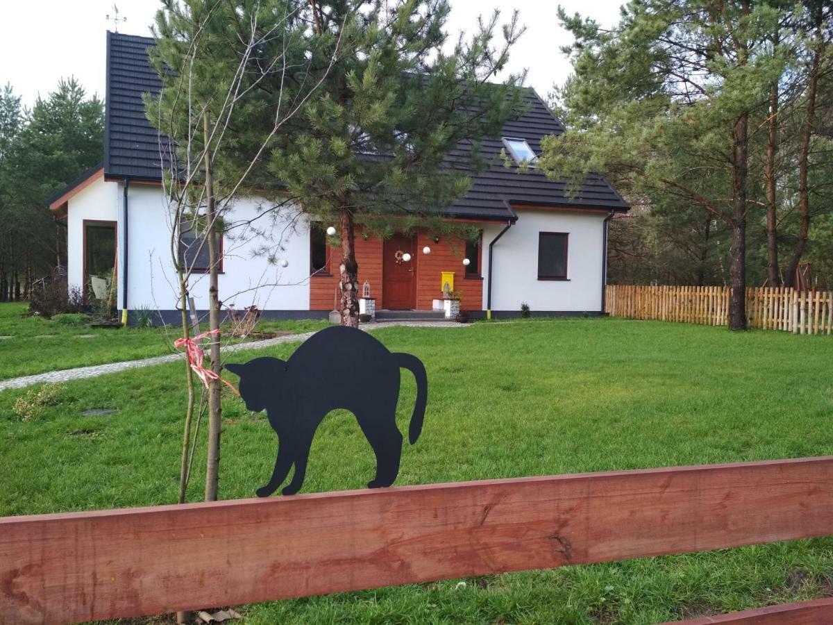 Koci Grzbiet Agroturystyka Dzierzazno Wielkie Extérieur photo