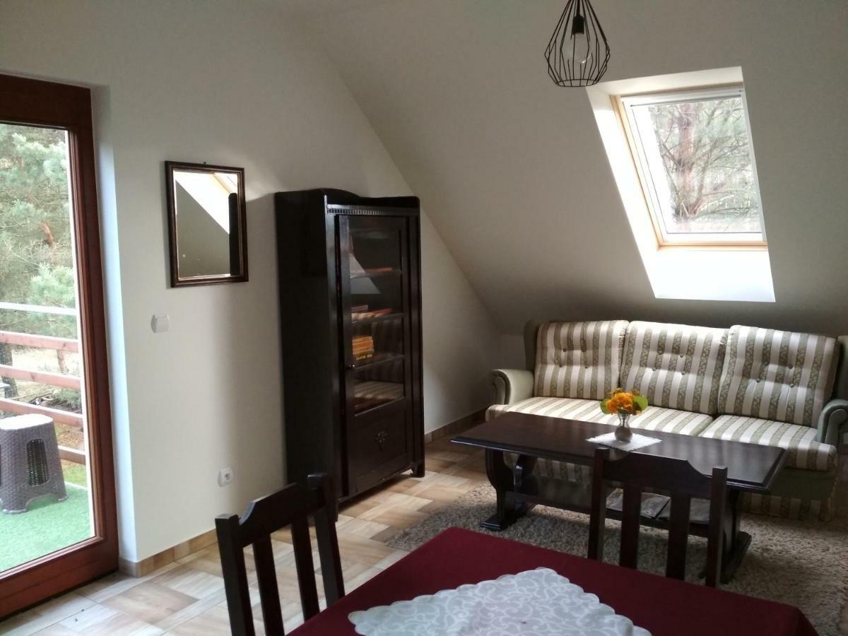 Koci Grzbiet Agroturystyka Dzierzazno Wielkie Extérieur photo