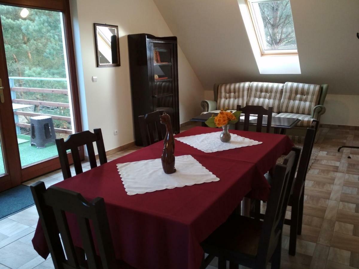 Koci Grzbiet Agroturystyka Dzierzazno Wielkie Extérieur photo