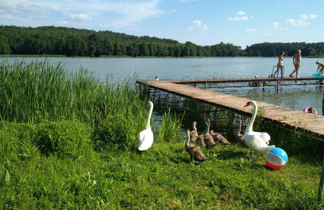 Koci Grzbiet Agroturystyka Dzierzazno Wielkie Extérieur photo