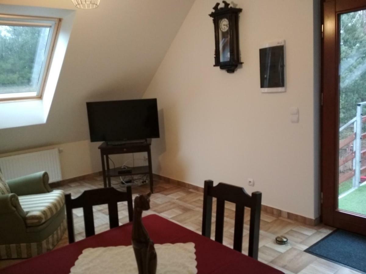 Koci Grzbiet Agroturystyka Dzierzazno Wielkie Extérieur photo